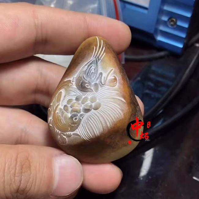 Ʒչʾ